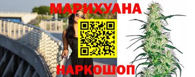 гашик Гусев