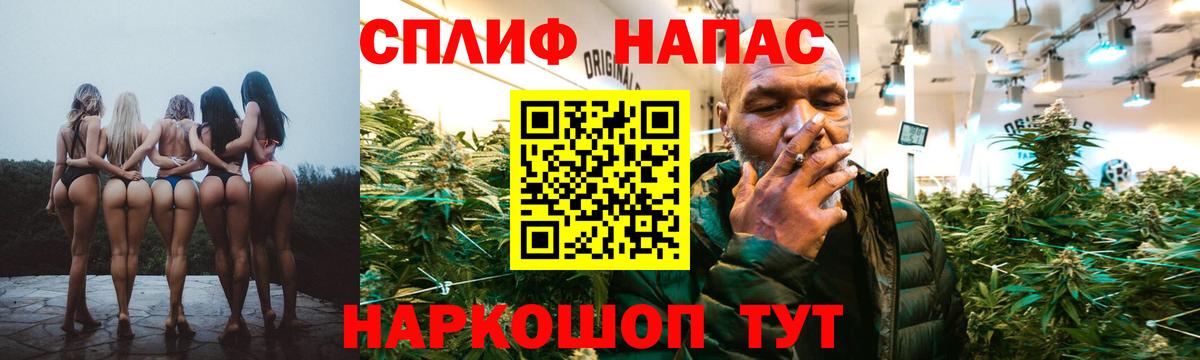 Канабис конопля Курчалой
